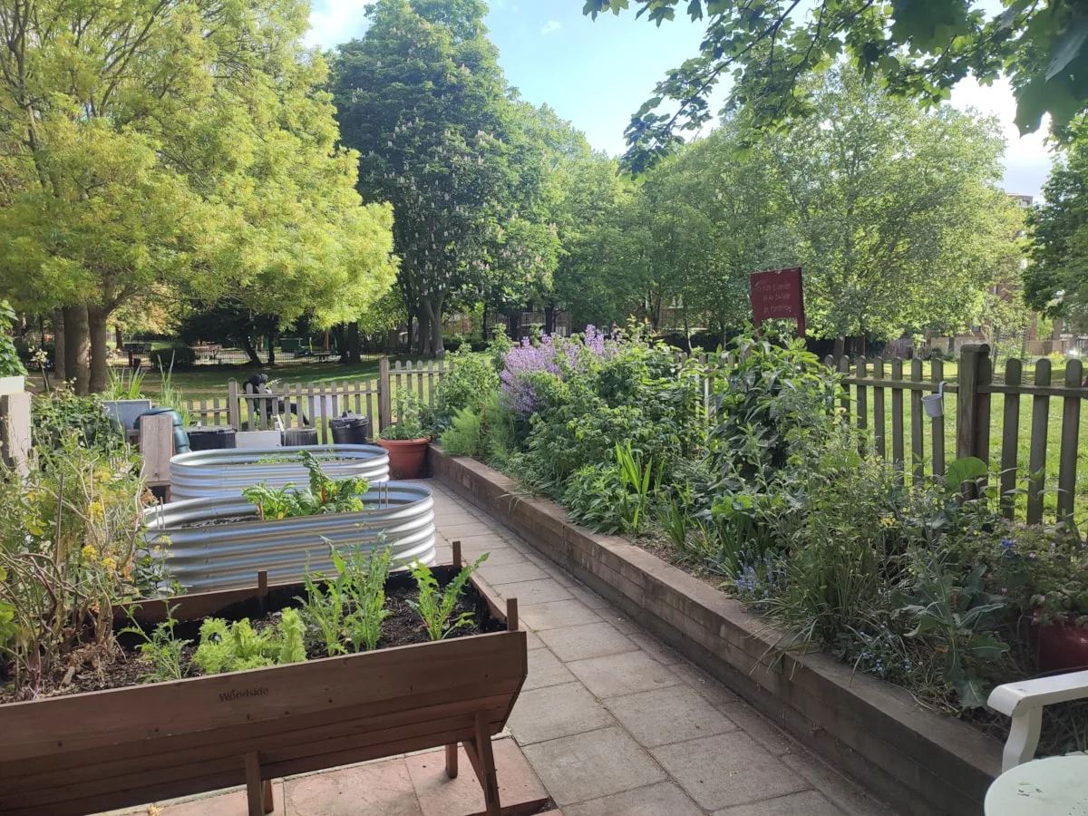 Raised beds of vegetables and flowering perennials beside a paved path, with a wooden fence and mature trees in a park behind.